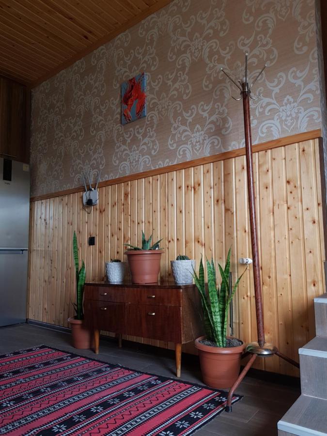 Cozy House Kazbegi Hotel Bagian luar foto